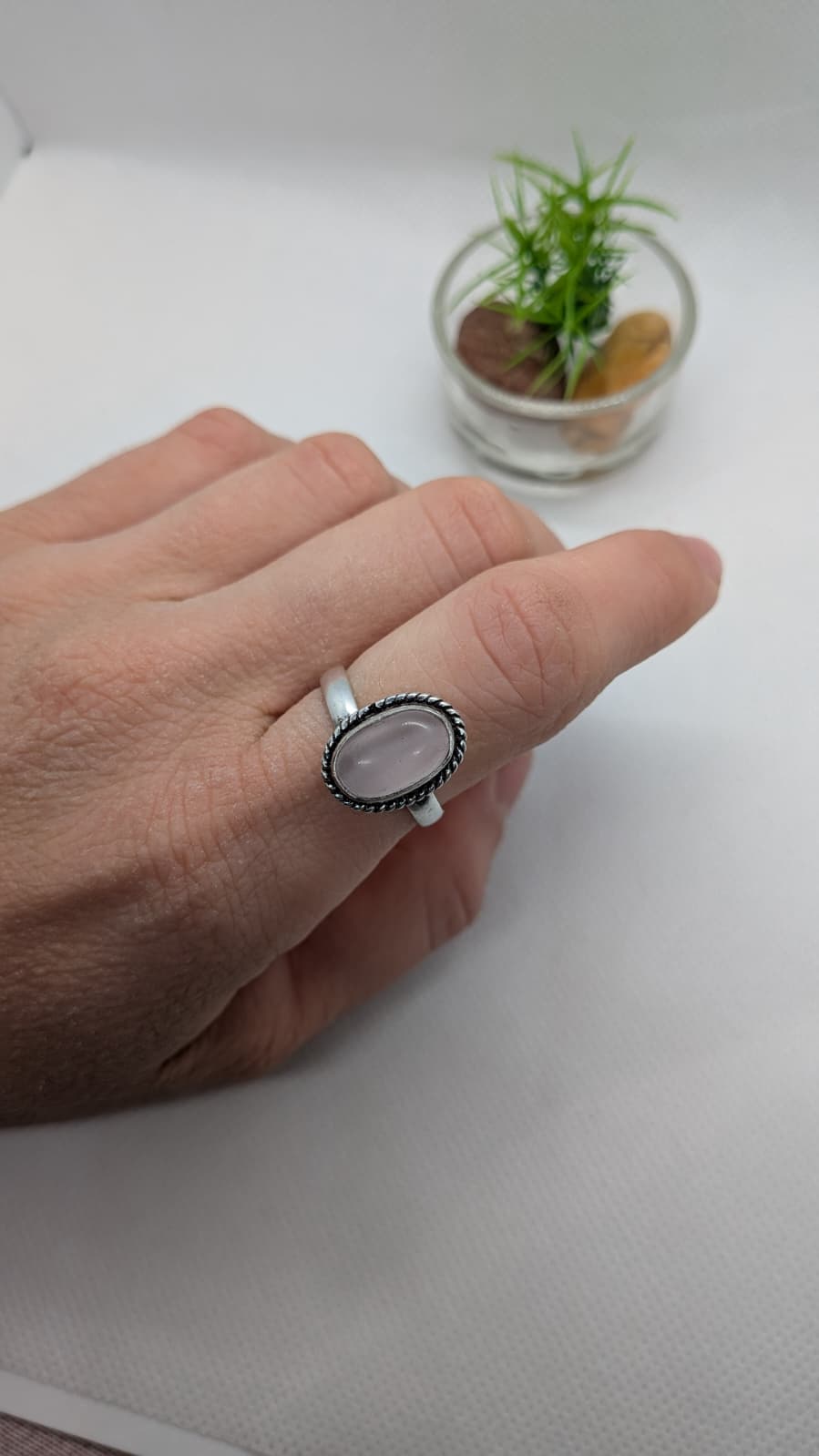 Occhio di gatto rosa