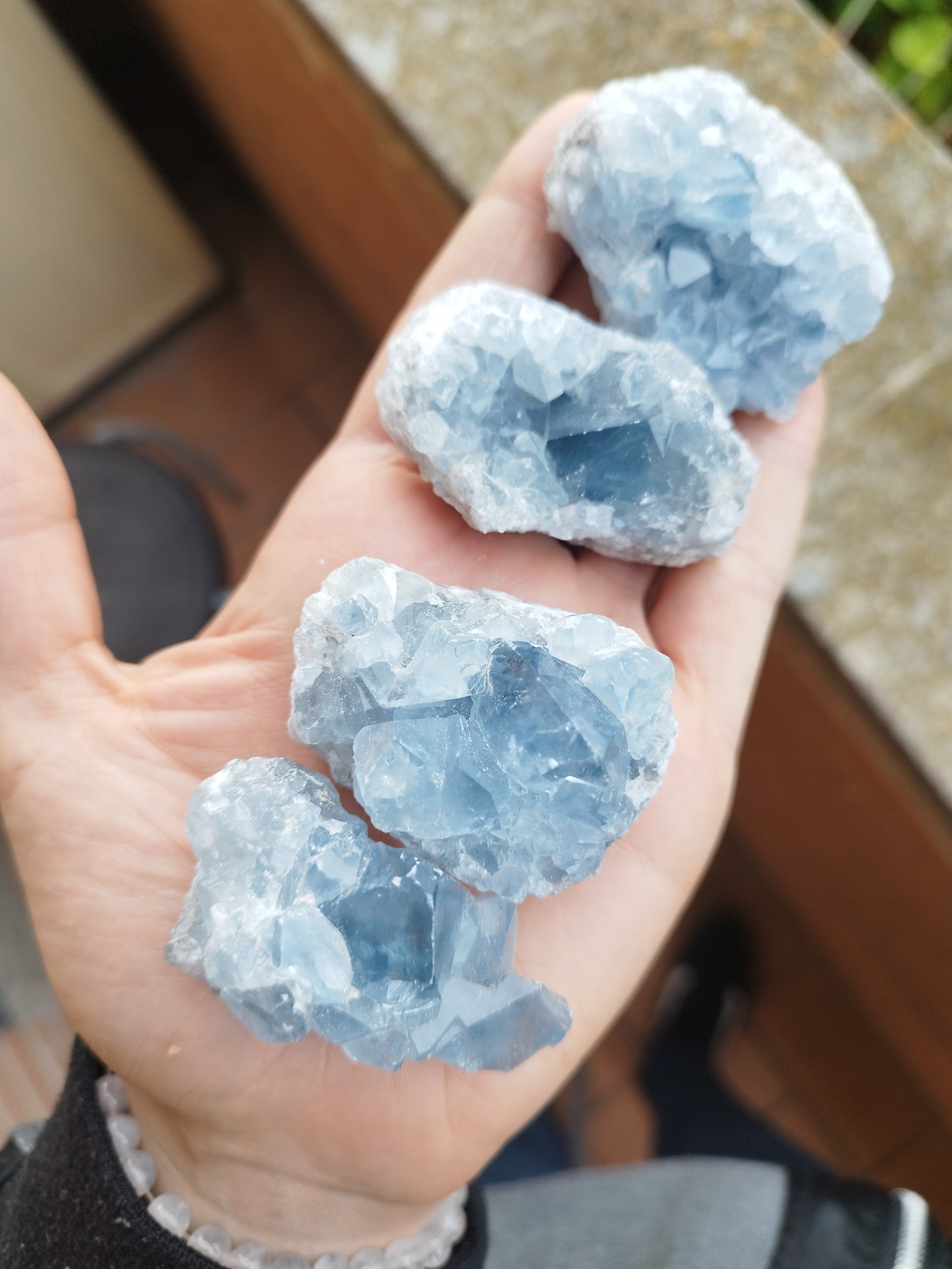 Drusa celestina del Madagascar