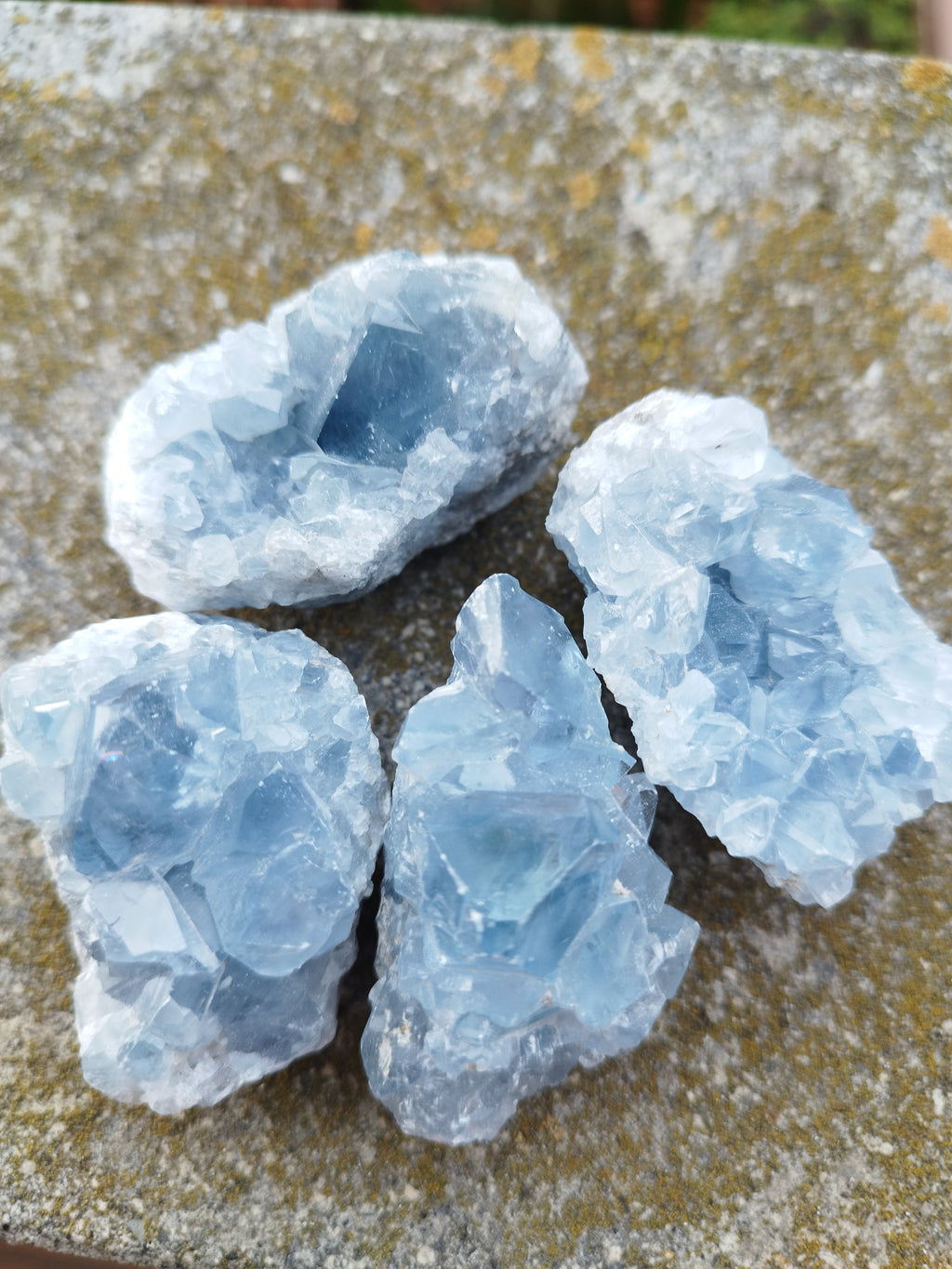 Drusa celestina del Madagascar